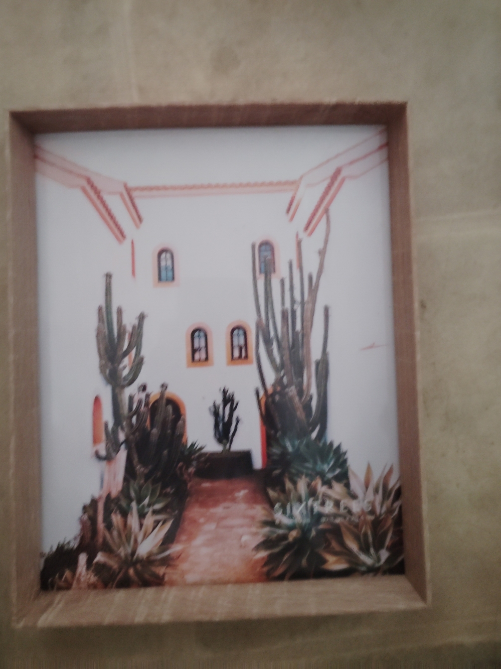 Wood Frame Desert Cactus Wall Art Print - White & Green